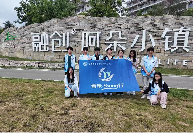 青禾·Young行 藏马山调研第二天：茶脉绵延处，银翼破云时