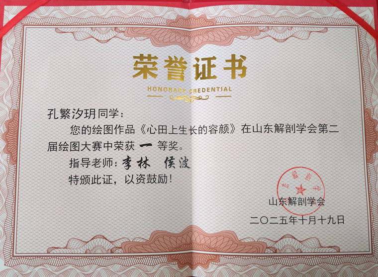 我校医学院学子荣获2025年山东省解剖绘图大赛一等奖